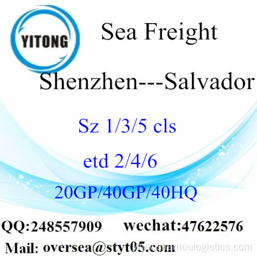 Shenzhen Port Sea Freight Shipping To Salvador